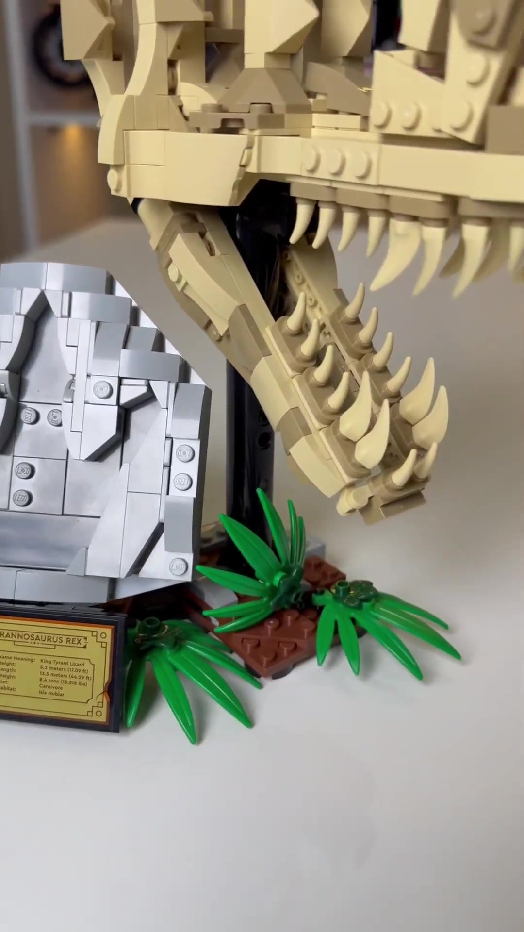 Video 1 de LEGO Jurassic World Fósiles de T. rex 76964 – 577 piezas 